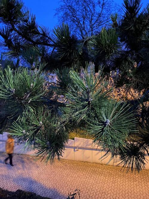 Aire camping-car Am neuen Wasserwerk Rheinbach