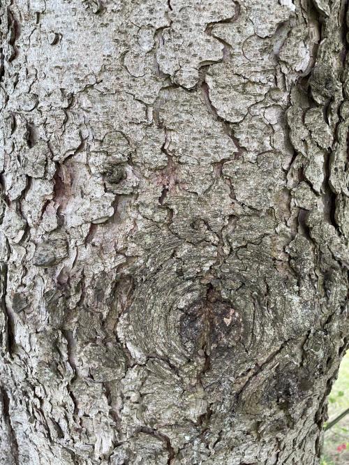 Aire camping-car Adler