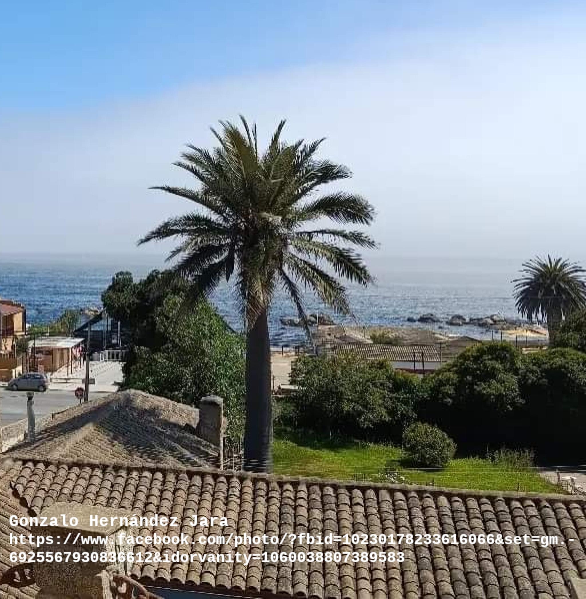 La Palma y el Pino
