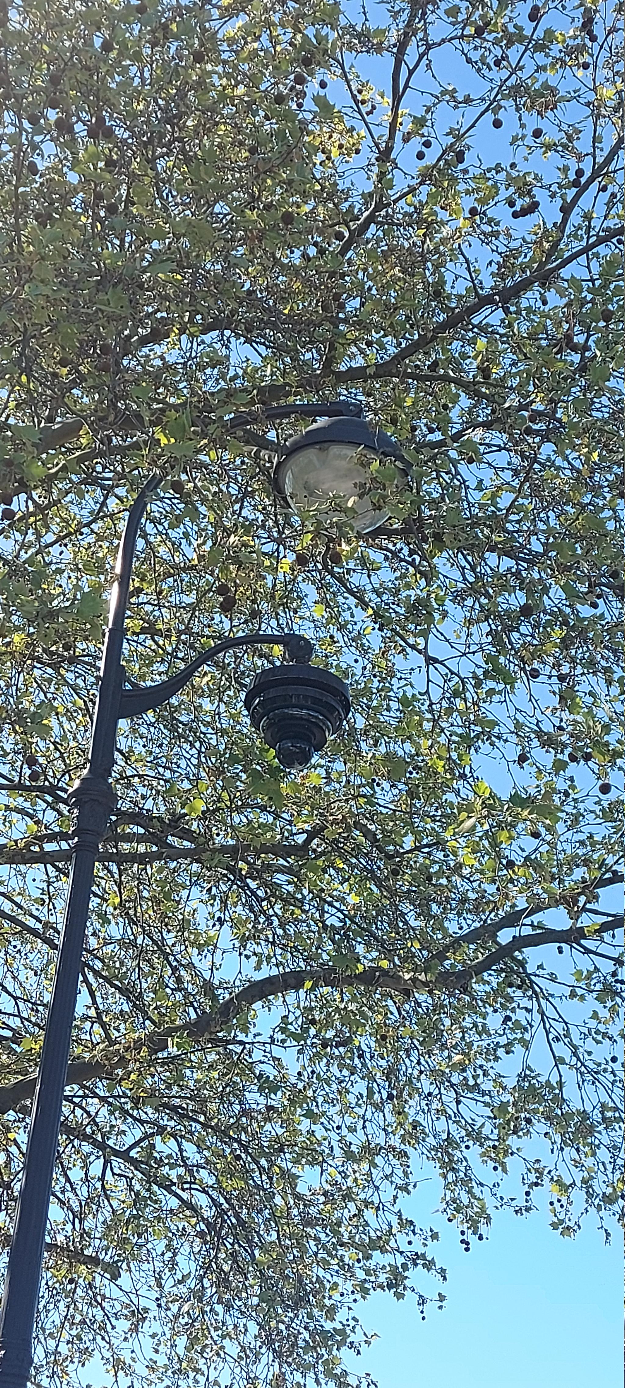 Place de la Nation, coin nature à Paris
