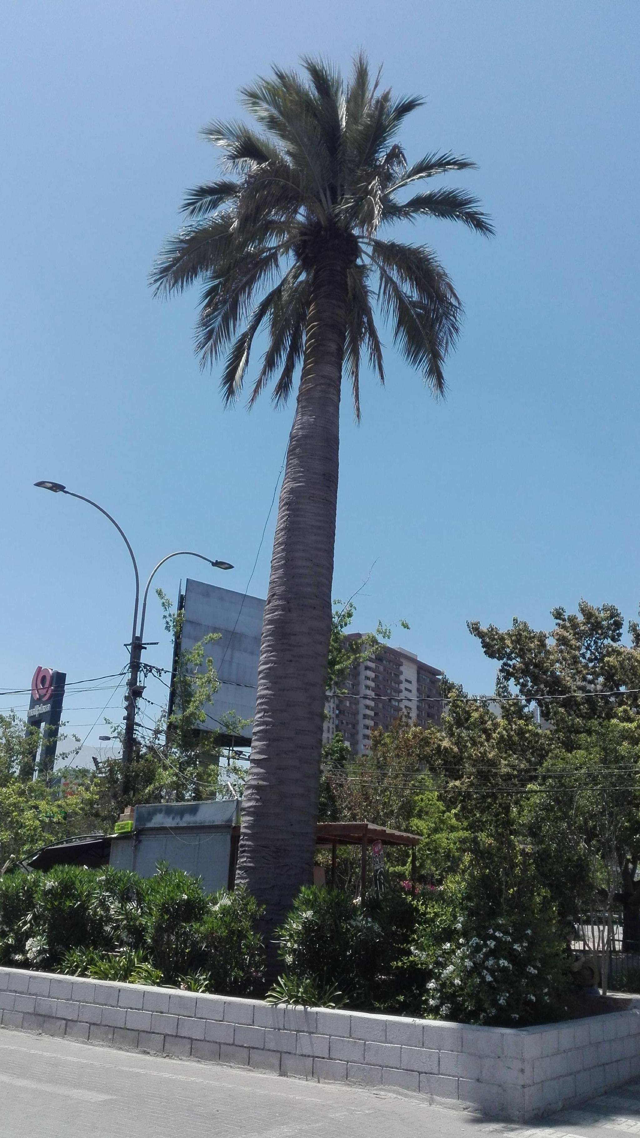 Plaza Cívica de La Florida
