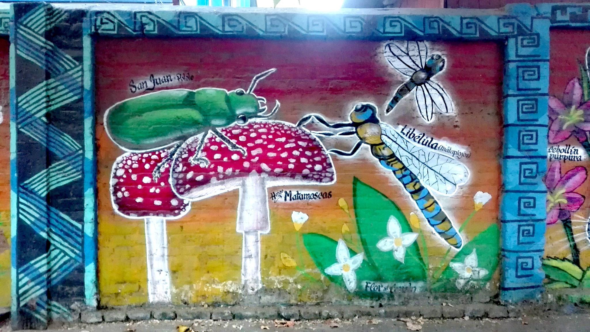 Hongo Matamoscas
