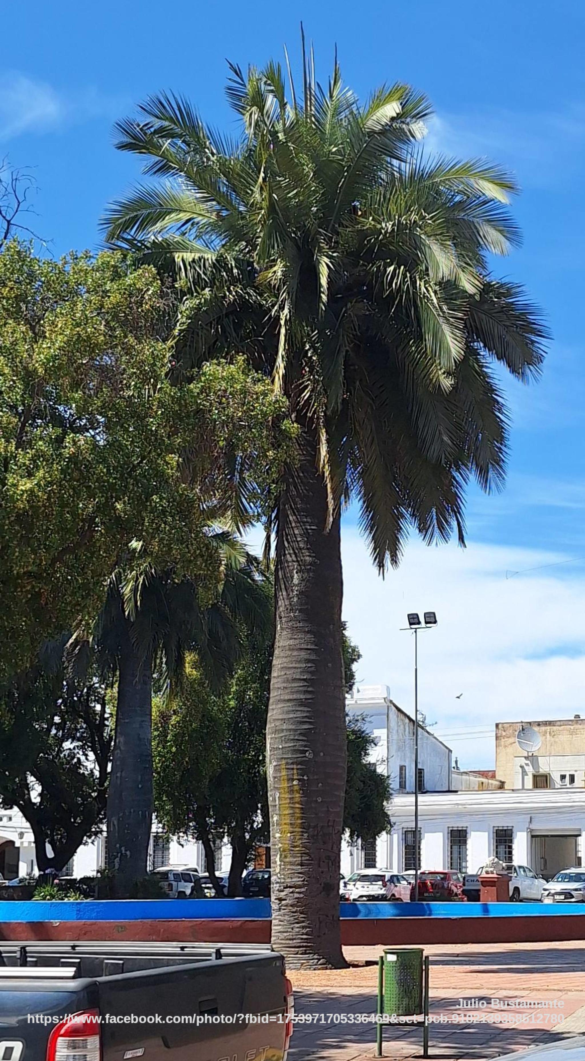 Alameda Valentín Letelier