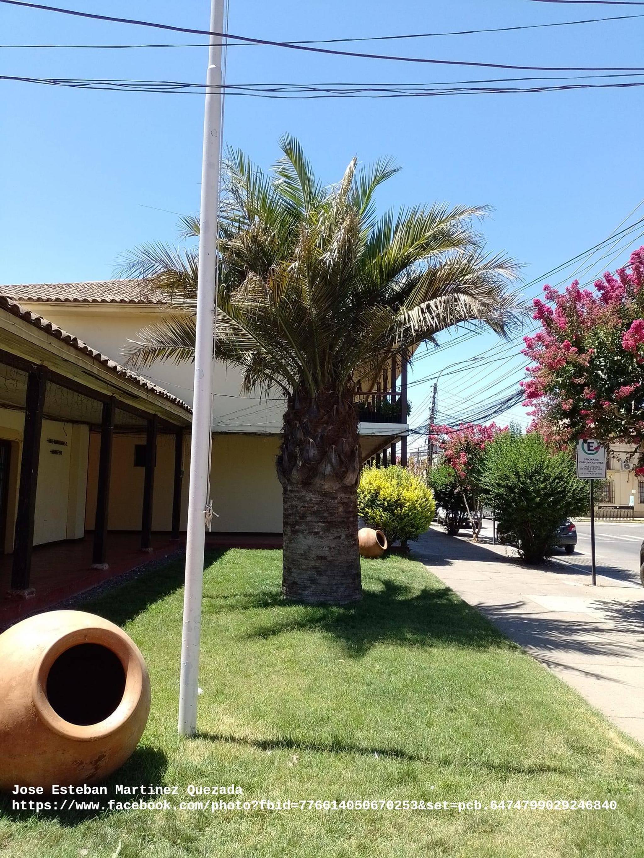 Carmen Gallegos del Campo