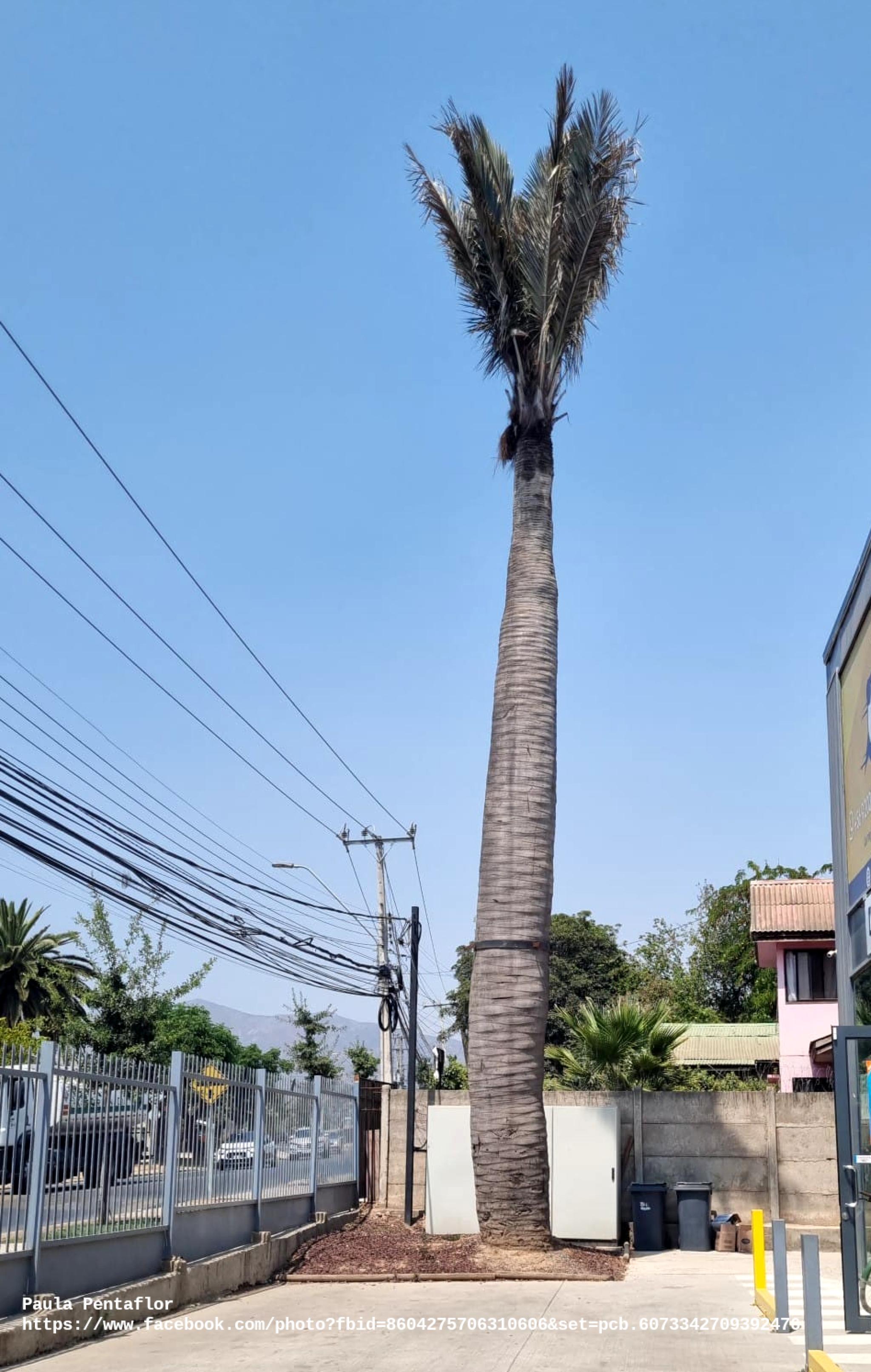 Plaza Brisas del Norte
