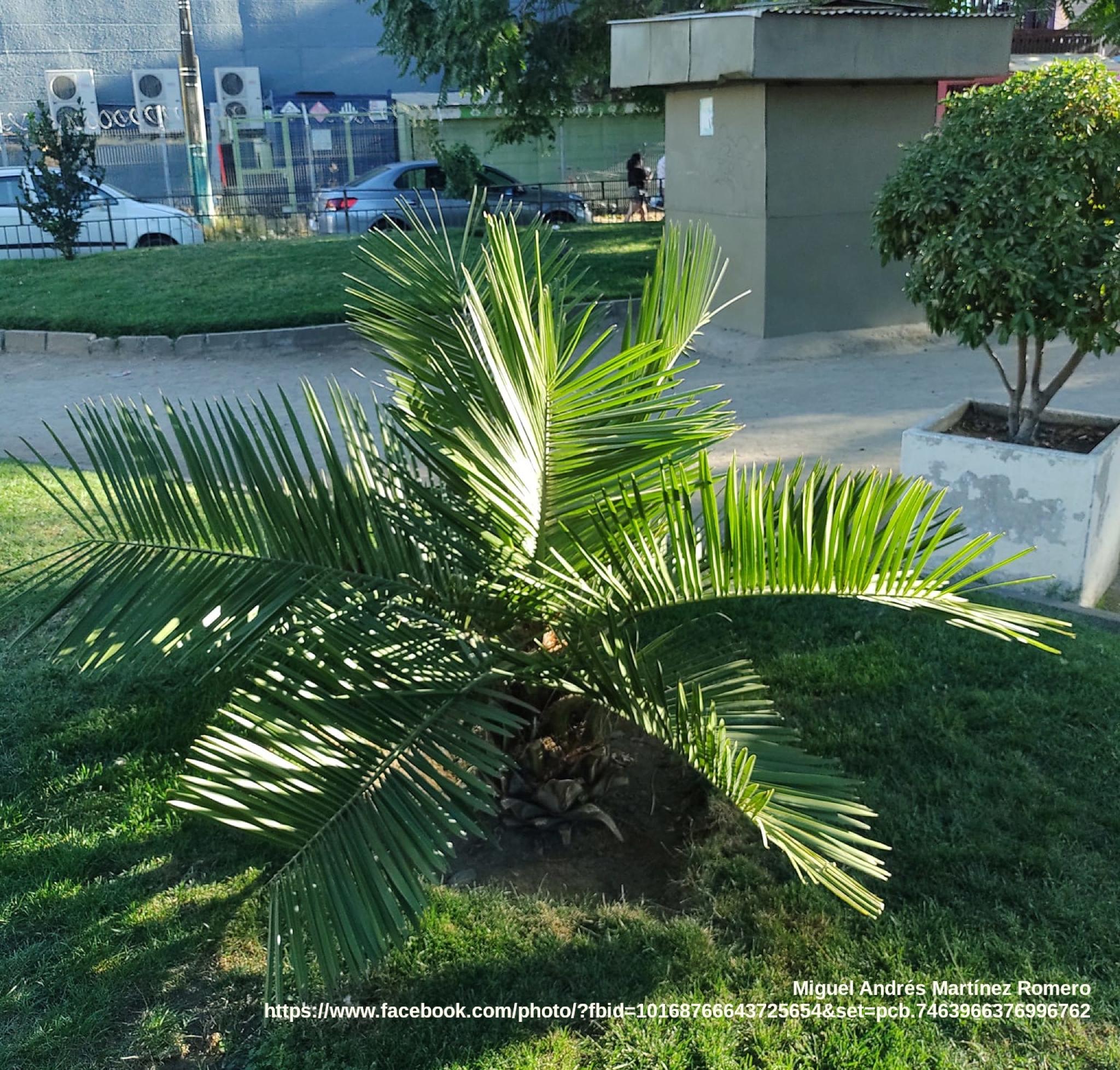Plaza José Fernández Llorens