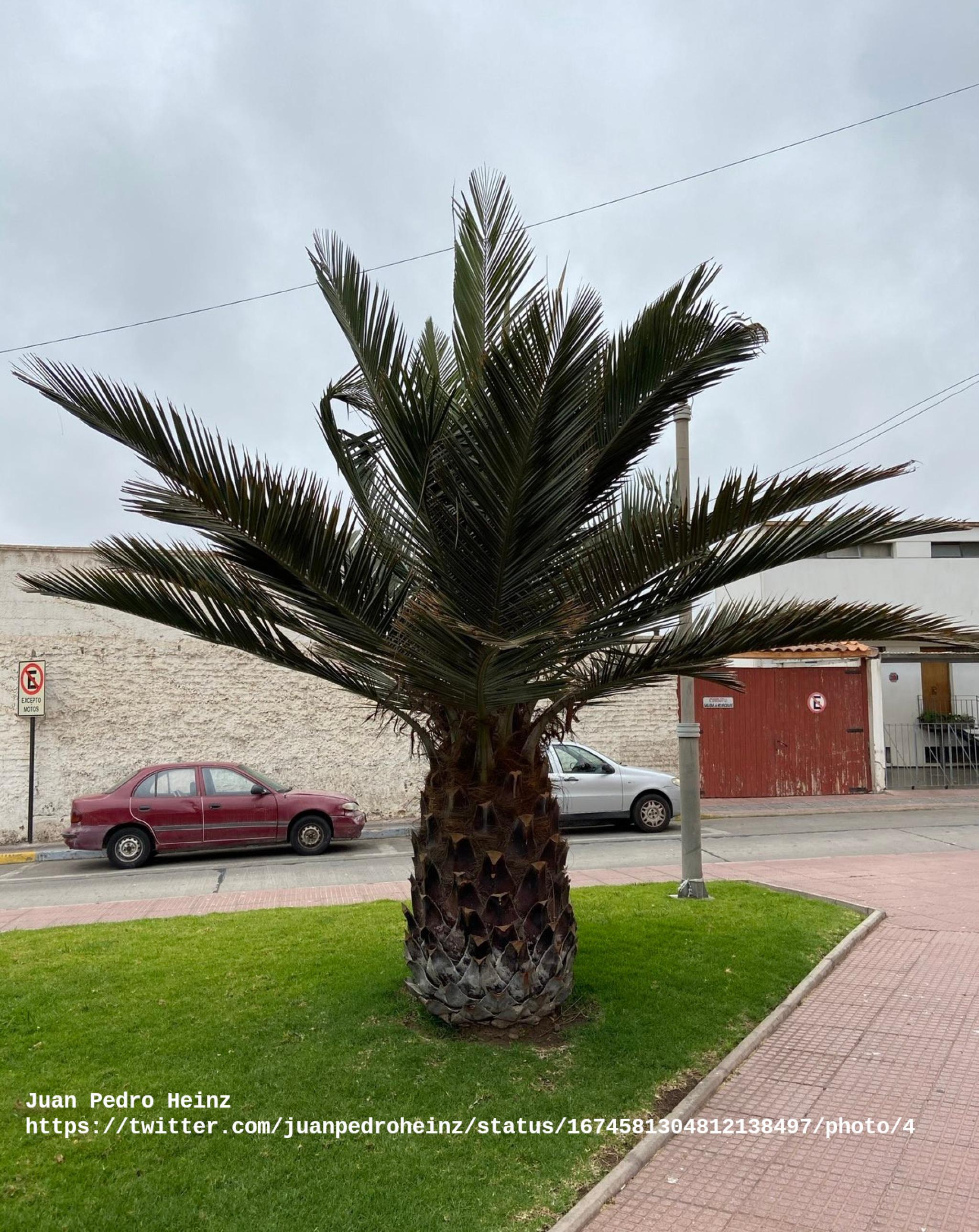 Plaza Intendecia Regional De Coquimbo