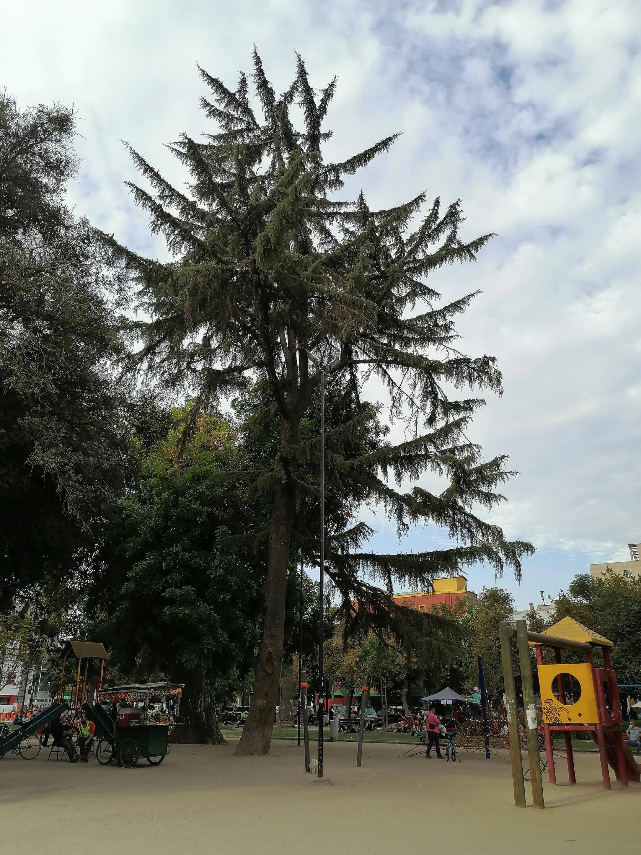 Volcán Tobogán