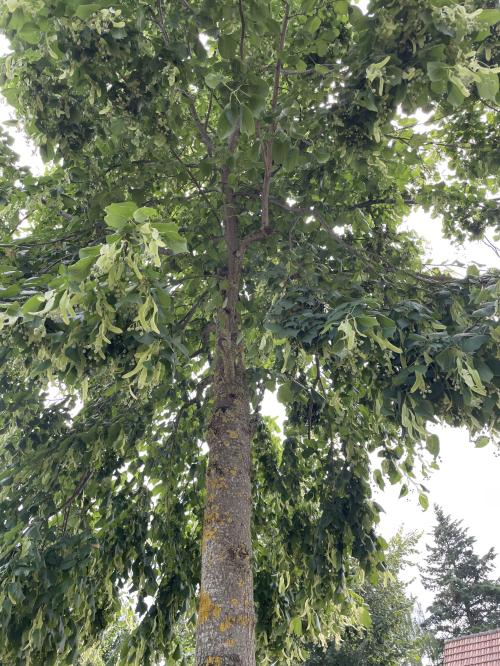 Aire camping-car Camping Mon Plaisir