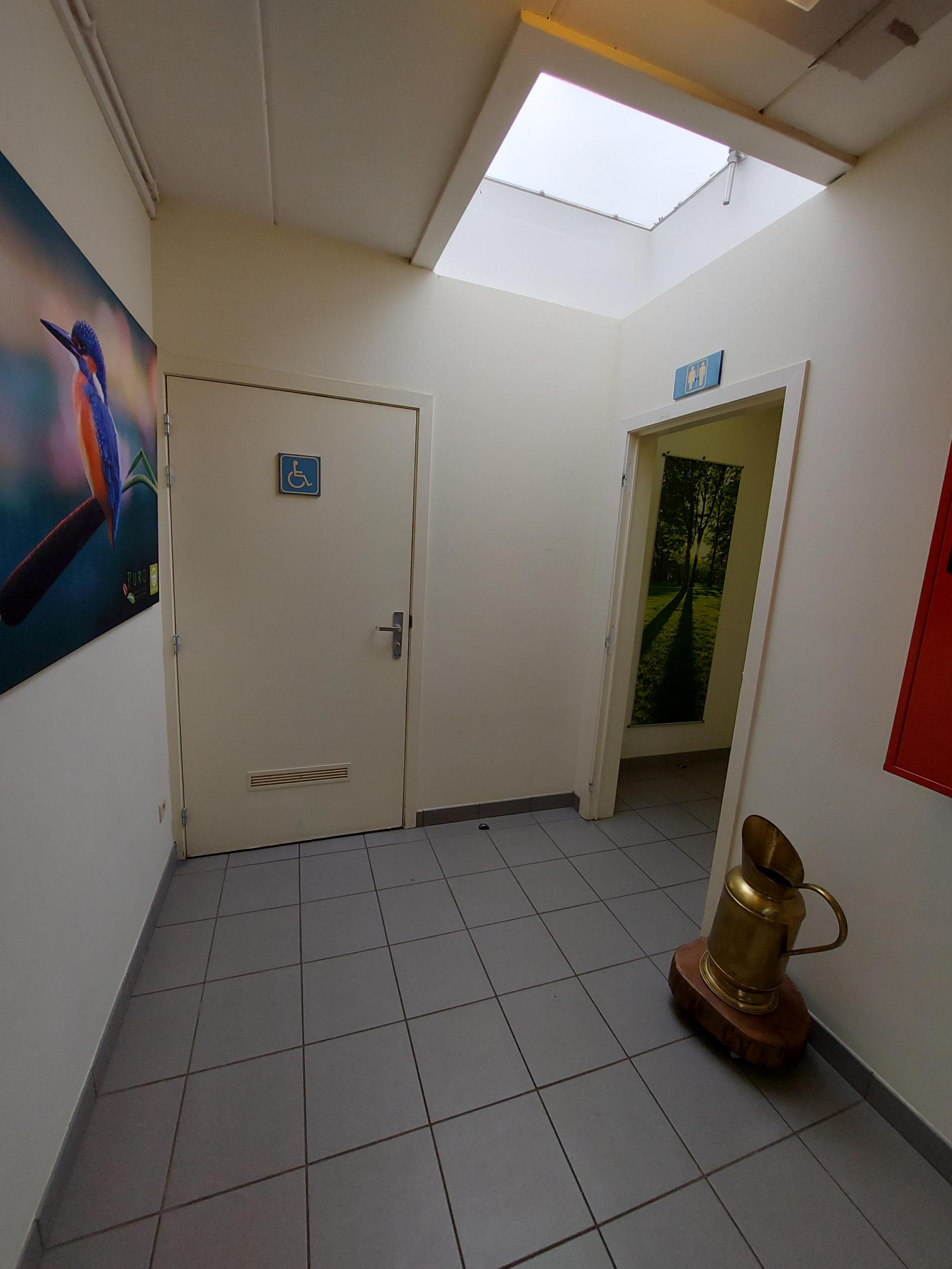 Foto bij Openbaar toilet Grauwe Steenstraat in Beringen