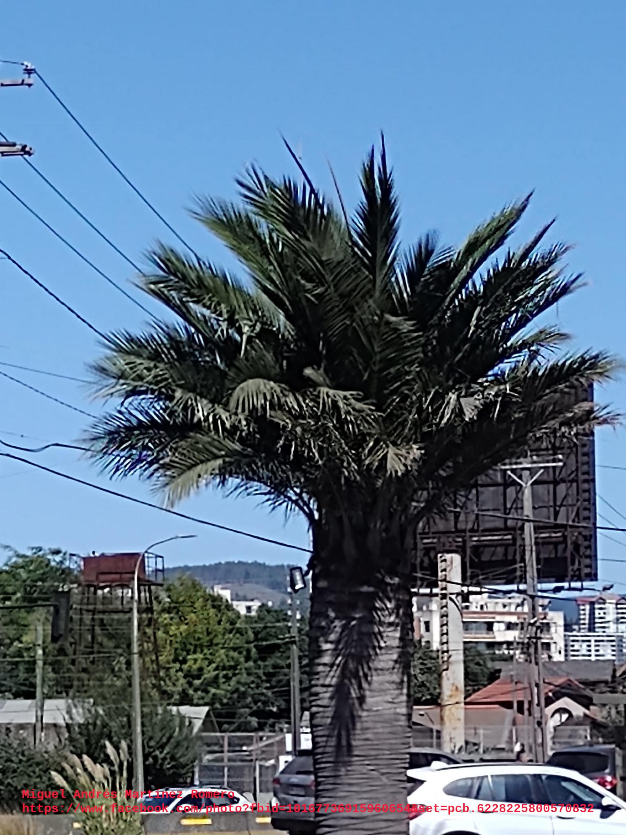 Plaza Enrique Soro