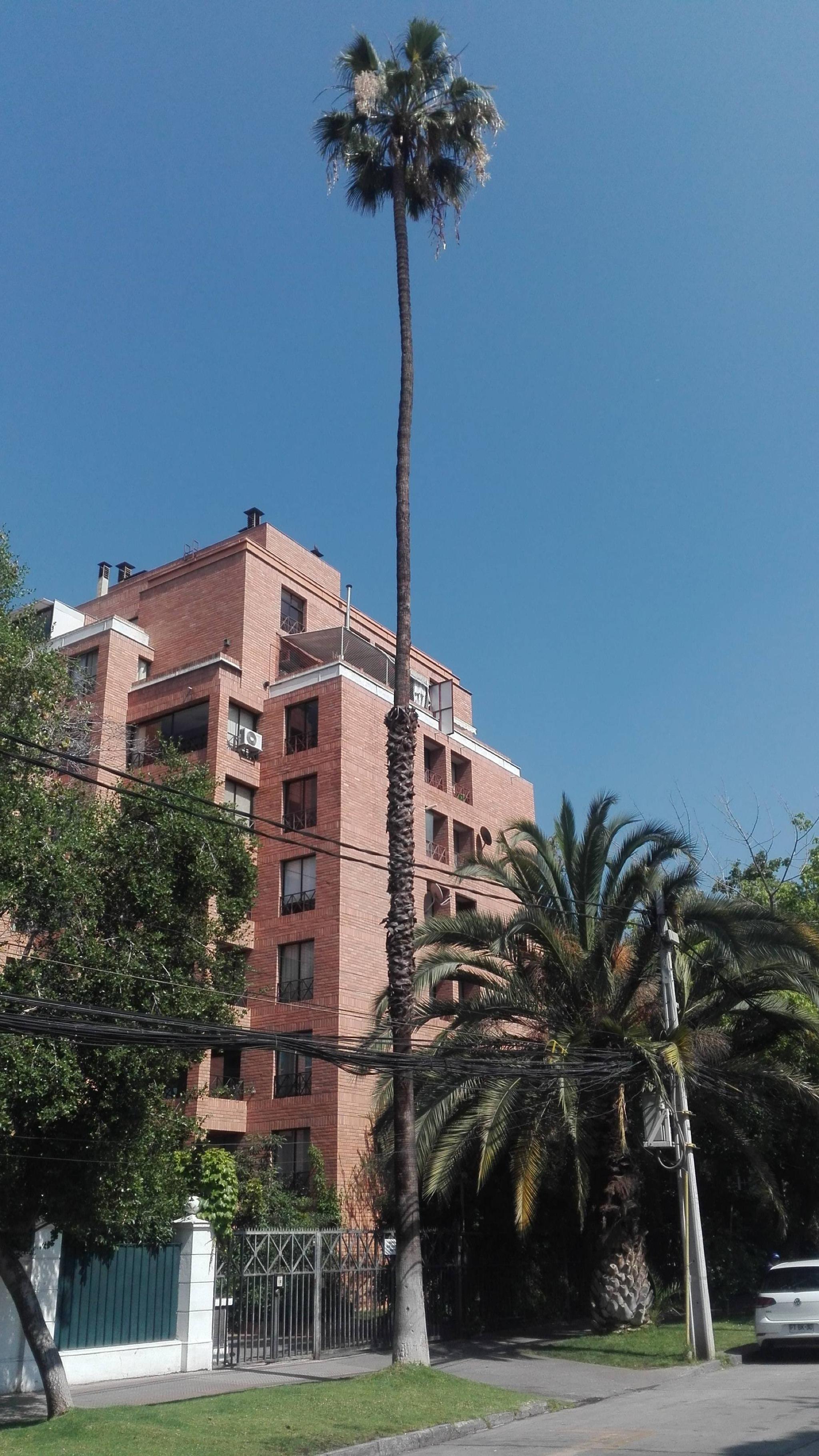 Intiwasi Hotel
