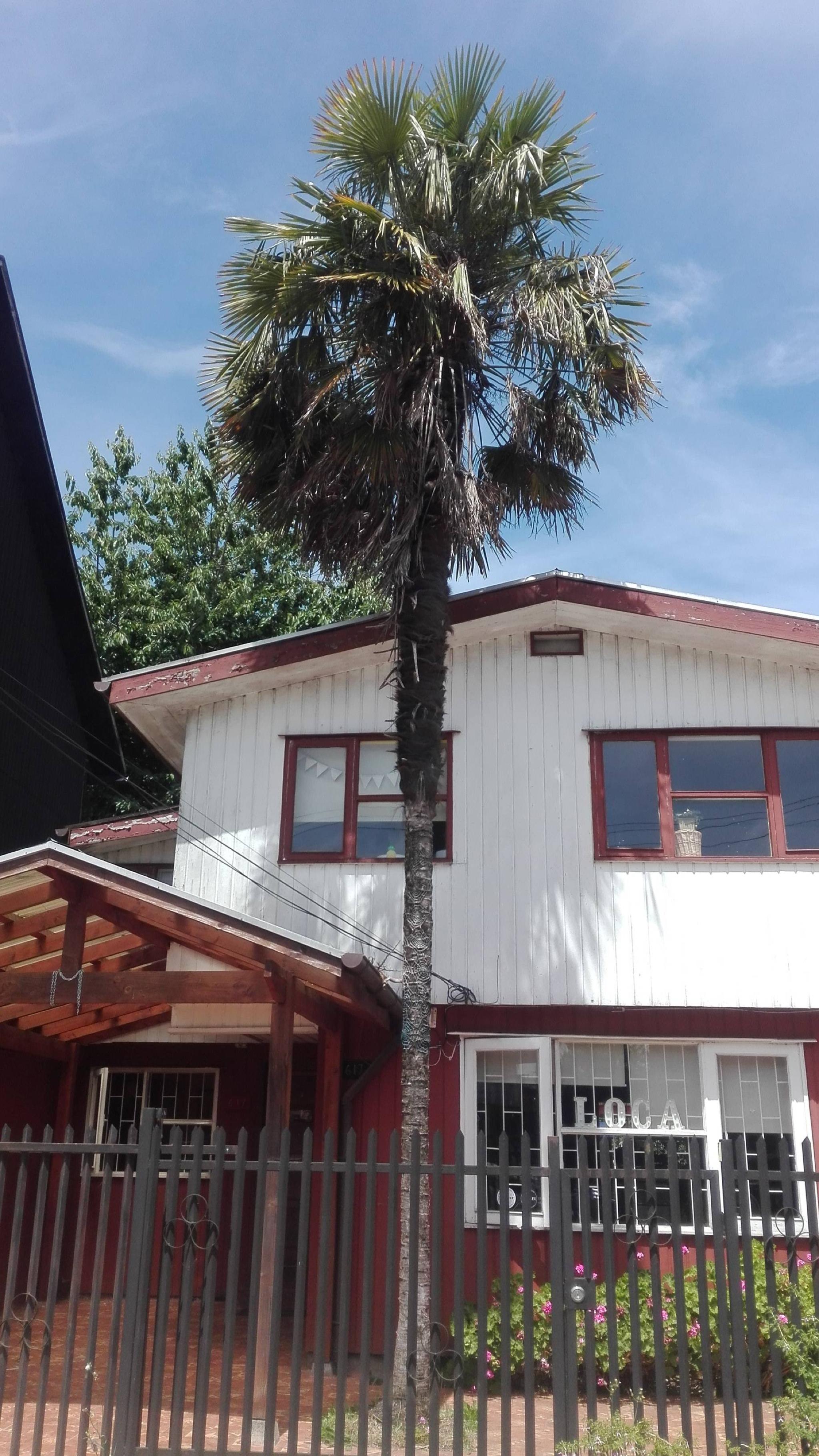 Hotel Nueve Ríos