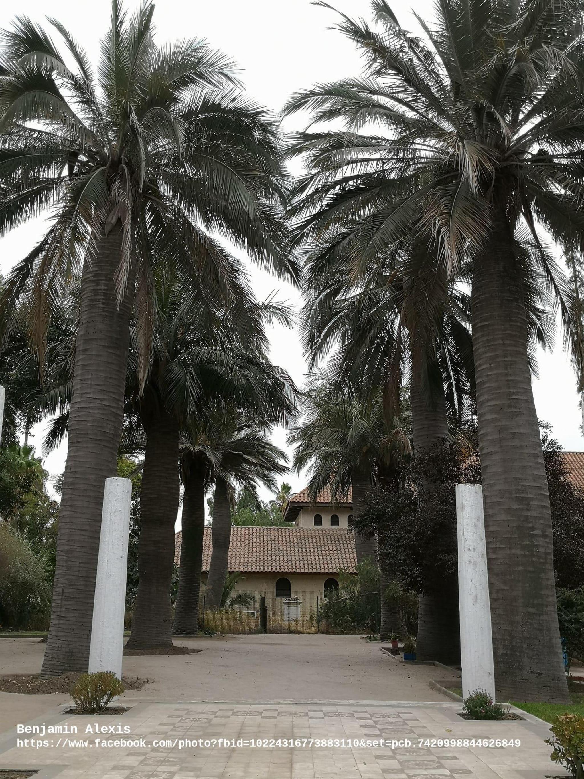 Biblioteca Municipal de Pudahuel