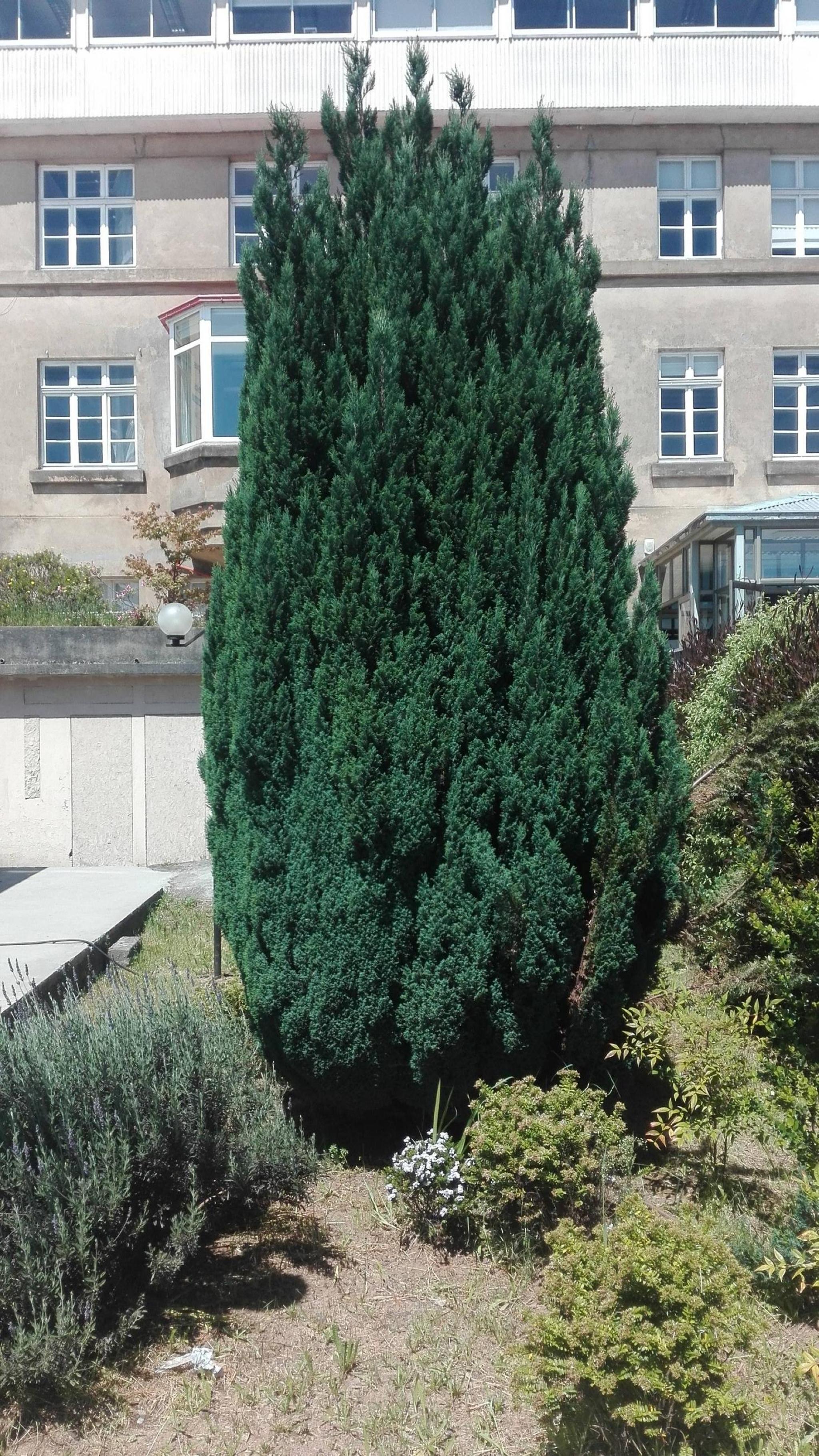 Jardín Agro-Ecológico San Fransisco