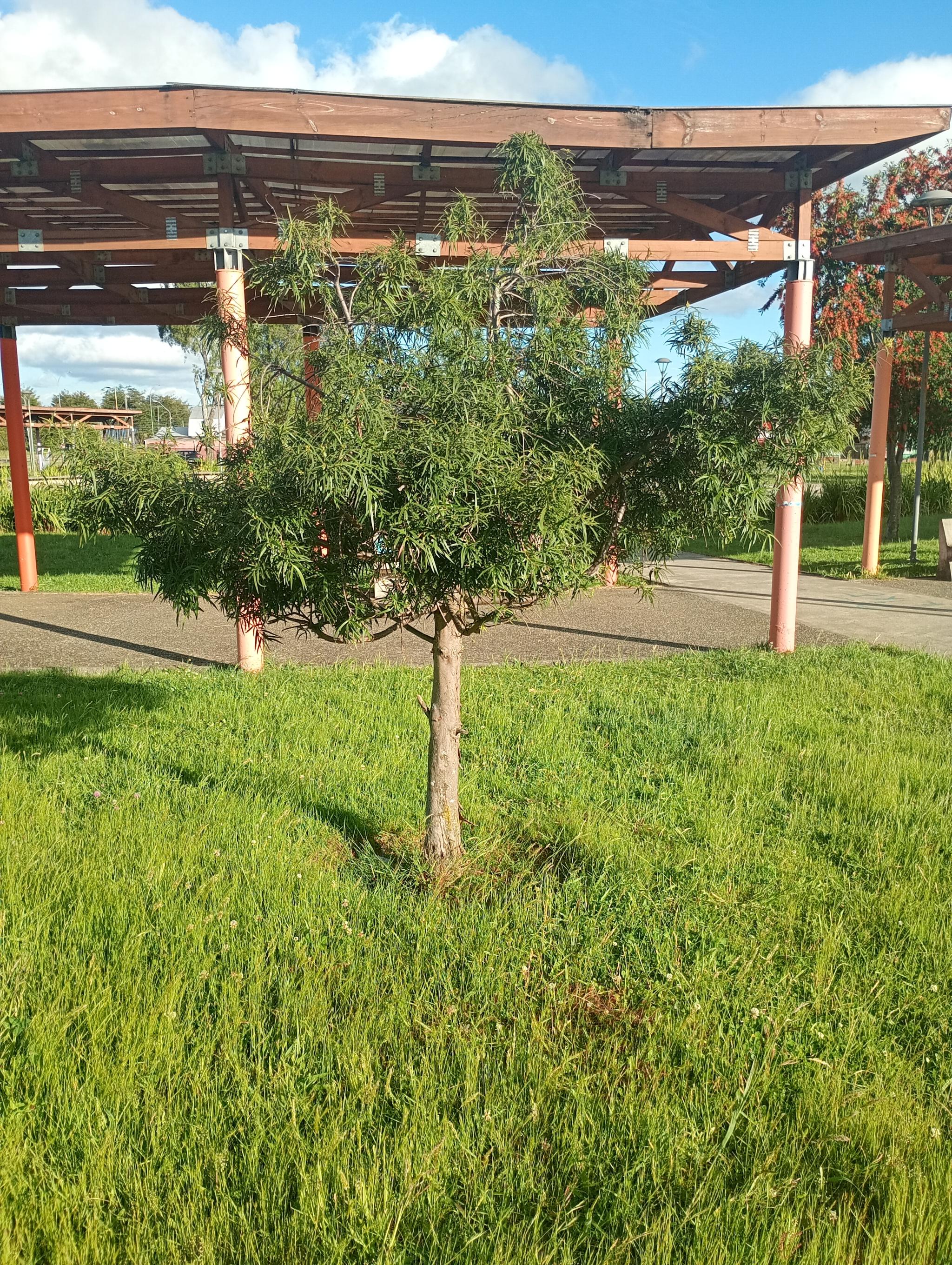 Parque Villa La Estancia