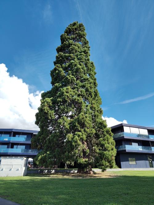 Aire camping-car Port du Saint-Aubin-Sauges